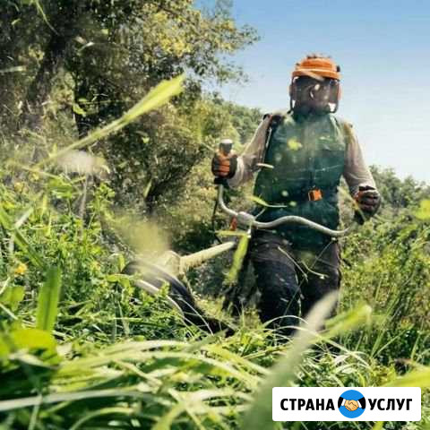Покос травы Сергиев Посад - изображение 1