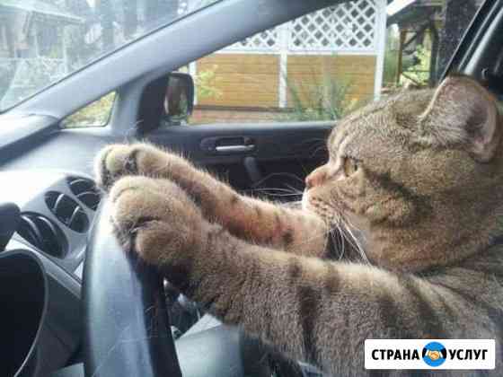 Электрик по вызову Грозный