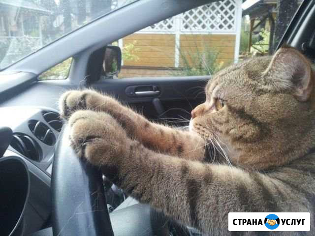 Электрик по вызову Грозный - изображение 1
