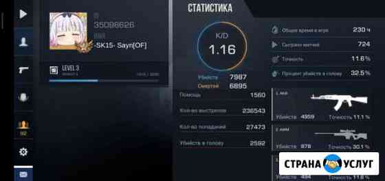 Предостовляю услуги тренера по Standoff 2 Нижнекамск