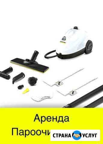 Аренда прокат пароочистителя парогенератора Кемерово - изображение 1