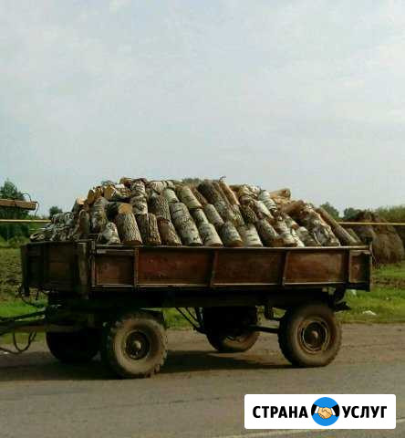 Продам дрова Атяшево - изображение 1
