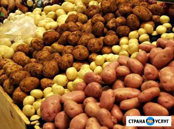 Доставка картофеля на дом Воронеж