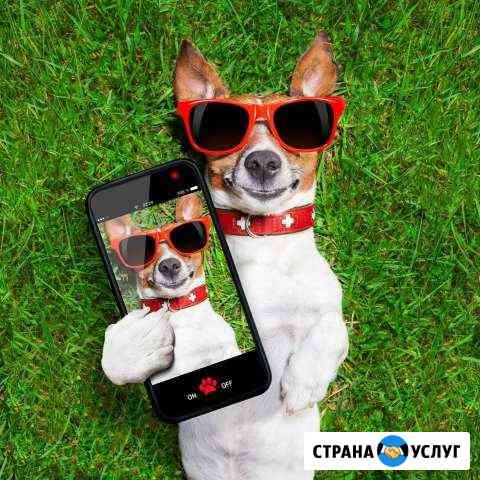 Посевной газон Москва