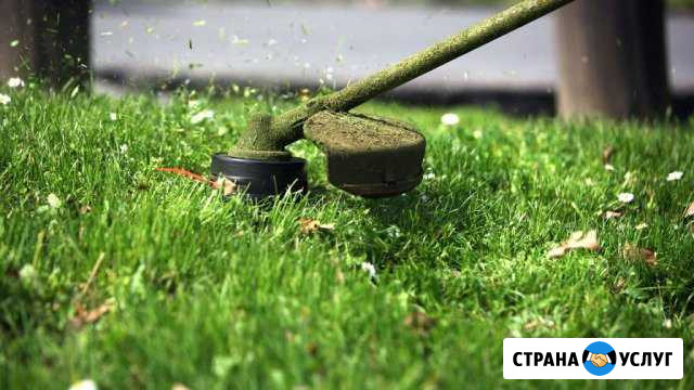 Покос Черусти - изображение 1