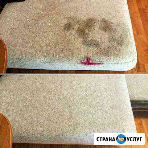 Химчистка мягкой мебели. Удаление запахов животных Пермь