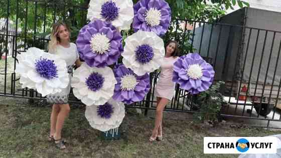 Фотозона Краснодар