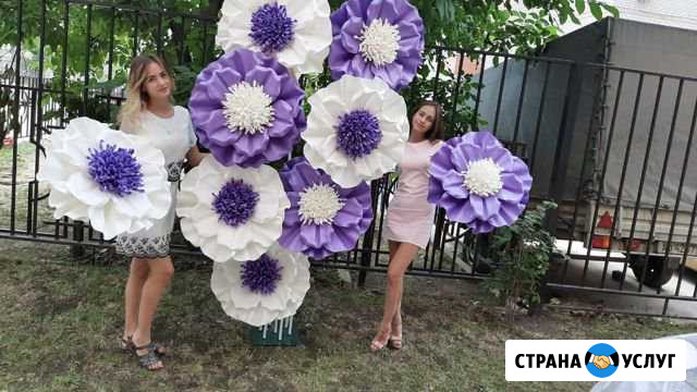 Фотозона Краснодар - изображение 1