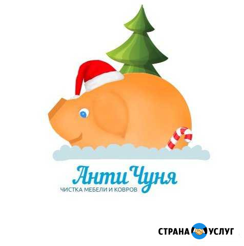 Анти Чуня химчистка мягкой мебели на дому Салават - изображение 1