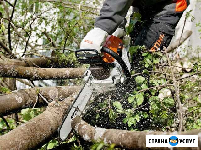 Спил кустарников и средних деревьев и покос травы Кокошкино - изображение 1