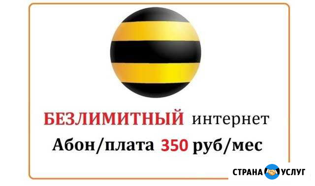 Интернет Санкт-Петербург - изображение 1