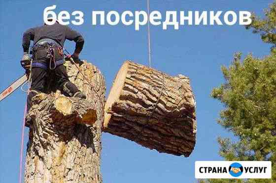 Спил деревьев. Промышленный альпинизм Владимир