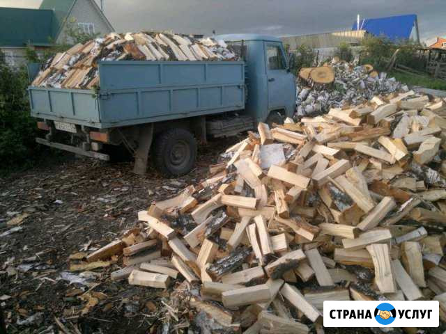 Дрова березовые Бердск - изображение 1