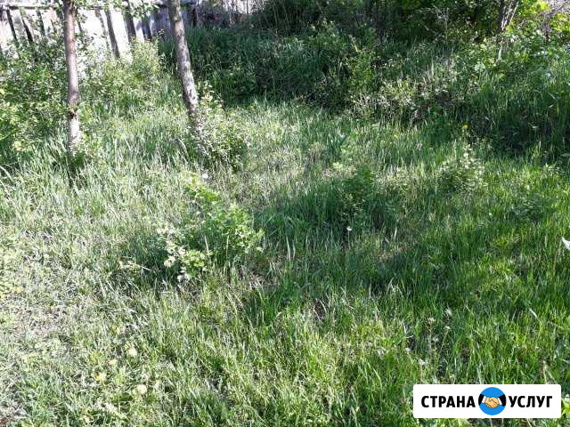 Стригу траву Выкса - изображение 1