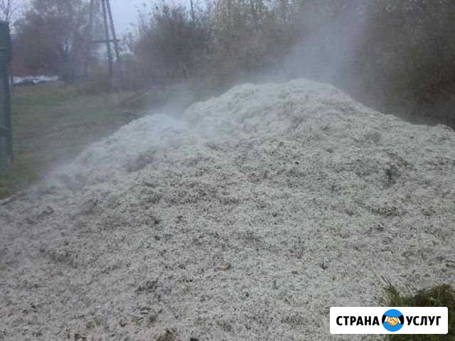 Жом отжатый и сухой Алексеевка Белгородской области - изображение 1