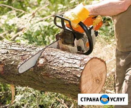 Спил деревьев любой сложности Шахты - изображение 1