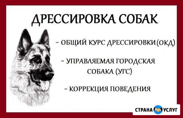Дрессировка собак Азов - изображение 1