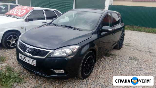 Прокат автомобиля KIA ceed Краснодар - изображение 1