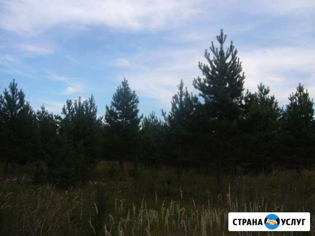 Турбаза, домики для отдыха Чердаклы - изображение 1