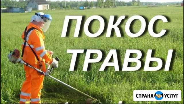 Покос травы,спиливание деревьев и корчевка пней Волгодонск - изображение 1