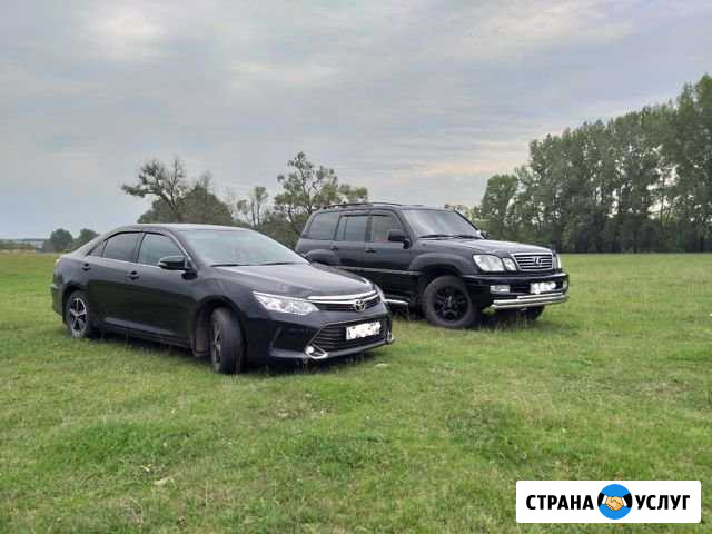Автомобили на свадьбу Lexus LX470 и Toyota Camry Салават - изображение 1