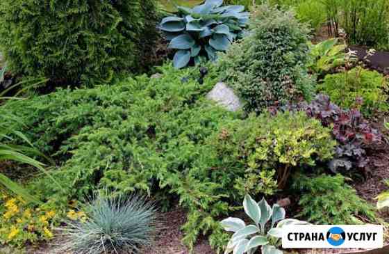 Ландшафтный проект участка. Создание цветников Тюмень