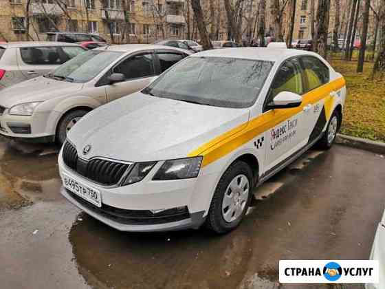 Аренда Шкода Октавия Такси Москва