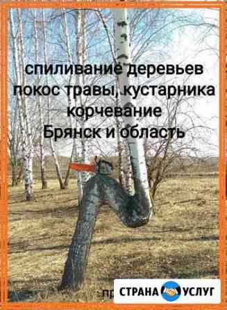 Спил деревьев, косьба травы, корчевание Брянск