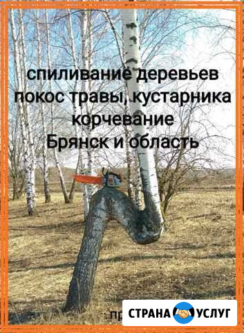 Спил деревьев, косьба травы, корчевание Брянск - изображение 1