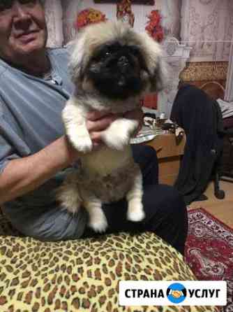 Парень ищет девушку Иркутск