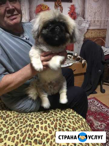 Парень ищет девушку Иркутск - изображение 1