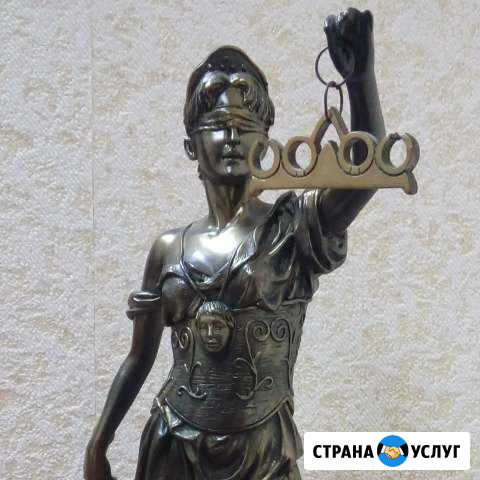 Адвокат: профессиональная помощь Александров - изображение 1