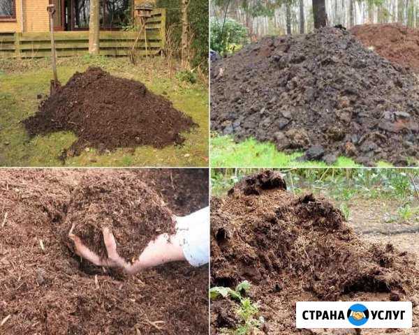 Навоз. перегной Самосвалами Смоленск - изображение 1