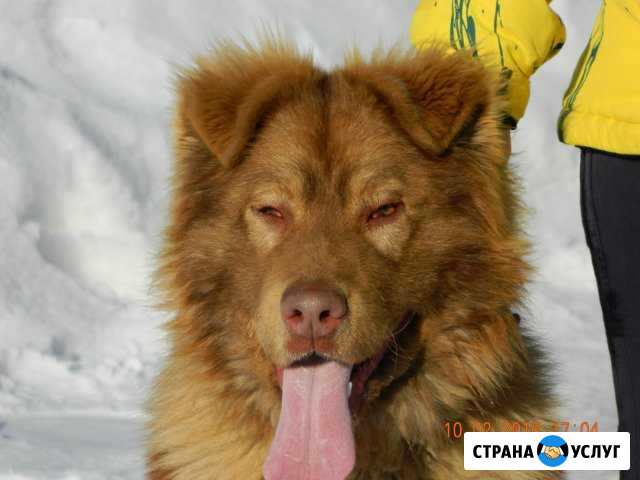 Кабель для вязки Вольск - изображение 1