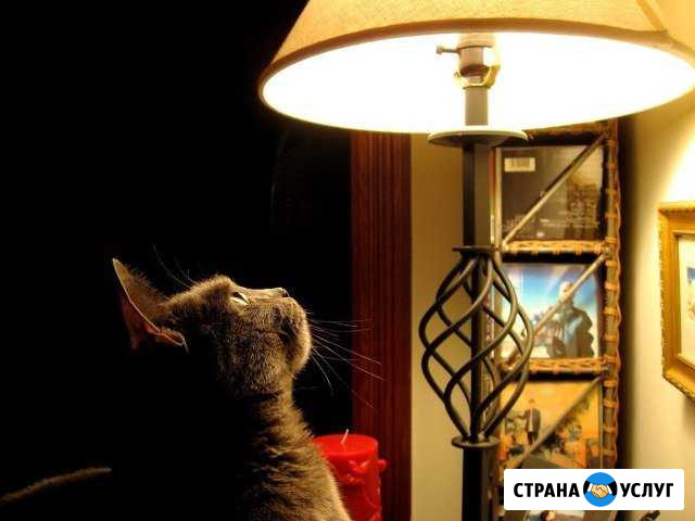 Услуги электрика, электромонтажные работы Хомутово - изображение 1