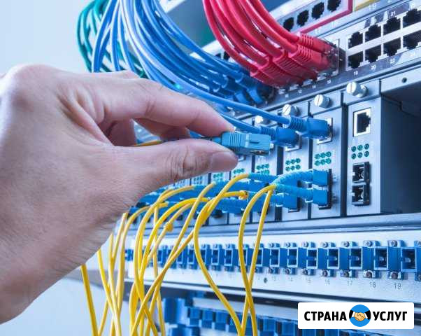 Монтаж сети предприятия Офис под ключ Wi-Fi Хабаровск - изображение 1