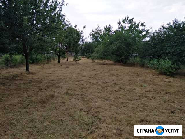 Покос травы Темрюк - изображение 1