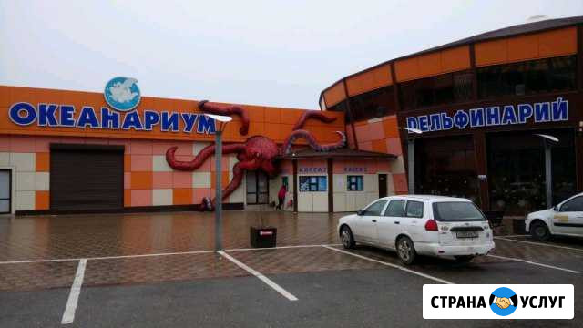 Скульптуры Анапа - изображение 1