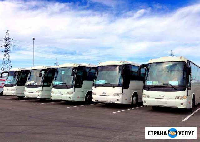 Трансфер на автобусах в Анапе, Краснодарскому краю Анапа - изображение 1