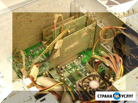 Компьютерная помощь.Вызов мастера на дом Новосибирск - изображение 1