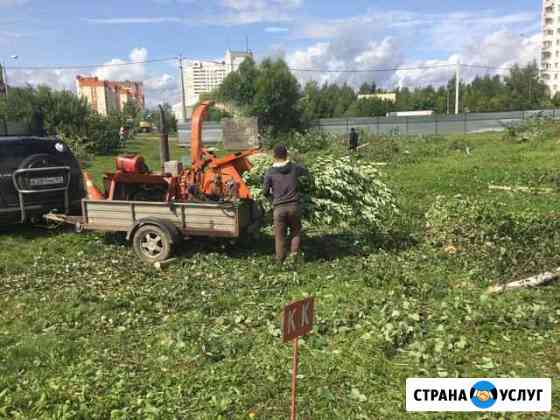 Дробление, переработка веток в щепу.Спилить дерево Одинцово