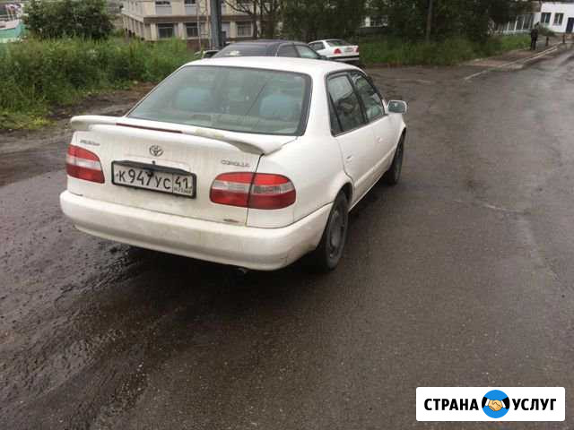 Toyota corolla Петропавловск-Камчатский - изображение 1
