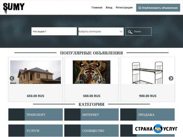 Домен вместе с сайтом sumy.club Новозыбков - изображение 1
