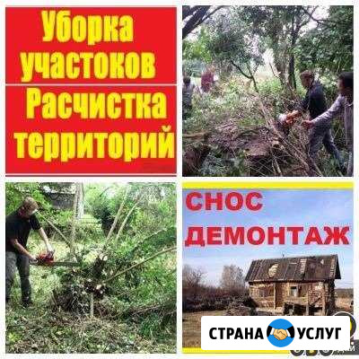 Благоустройства участока Рязань - изображение 1