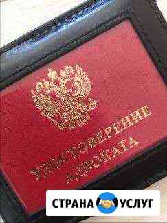Адвокат Владимир
