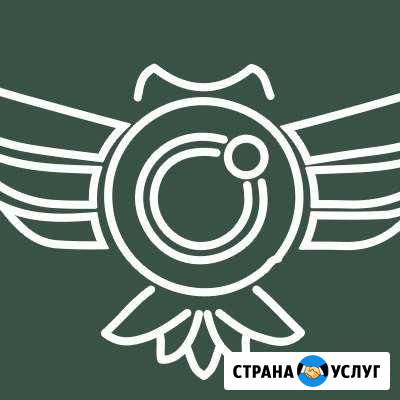 Виденаблюдение онлайн под ключ Воронеж - изображение 1