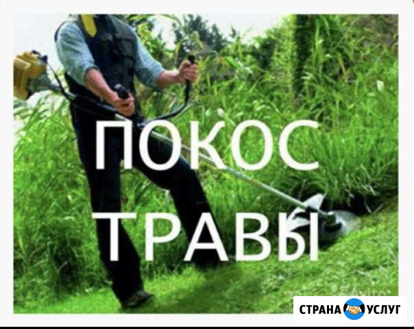 Покос травы, Чистка участков,сил деревьев Белореченск - изображение 1
