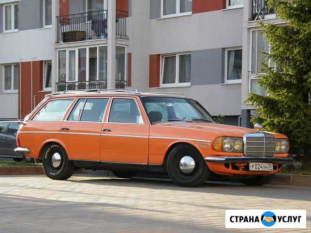 Аренда классического авто с водителем, экскурсии Калининград - изображение 1