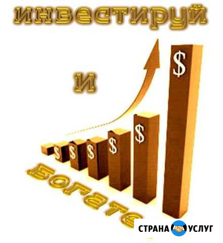 Ищу инвестора Иркутск - изображение 1
