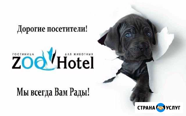Гостиница для животных Советский - изображение 1